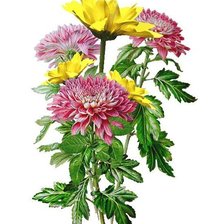 Схема вышивки «букет»