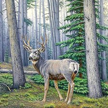 Схема вышивки «№1878006»