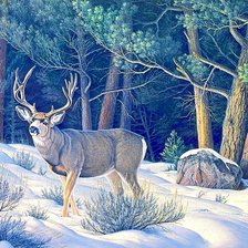 Схема вышивки «№1878007»