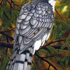 Схема вышивки «№1878011»