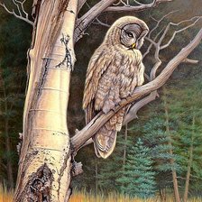 Схема вышивки «№1878017»