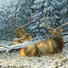 Схема вышивки «№1878031»