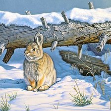 Схема вышивки «№1878033»