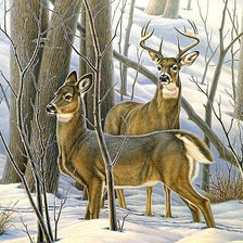 Схема вышивки «№1878039»