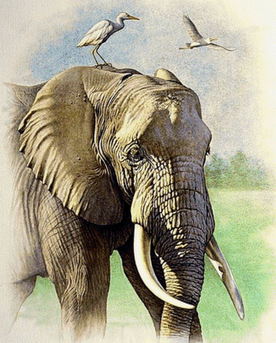 №1878042 - слон - предпросмотр