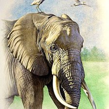 Схема вышивки «№1878042»