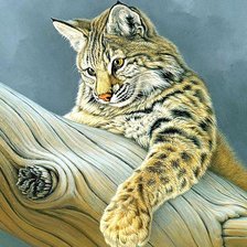 Схема вышивки «№1878045»