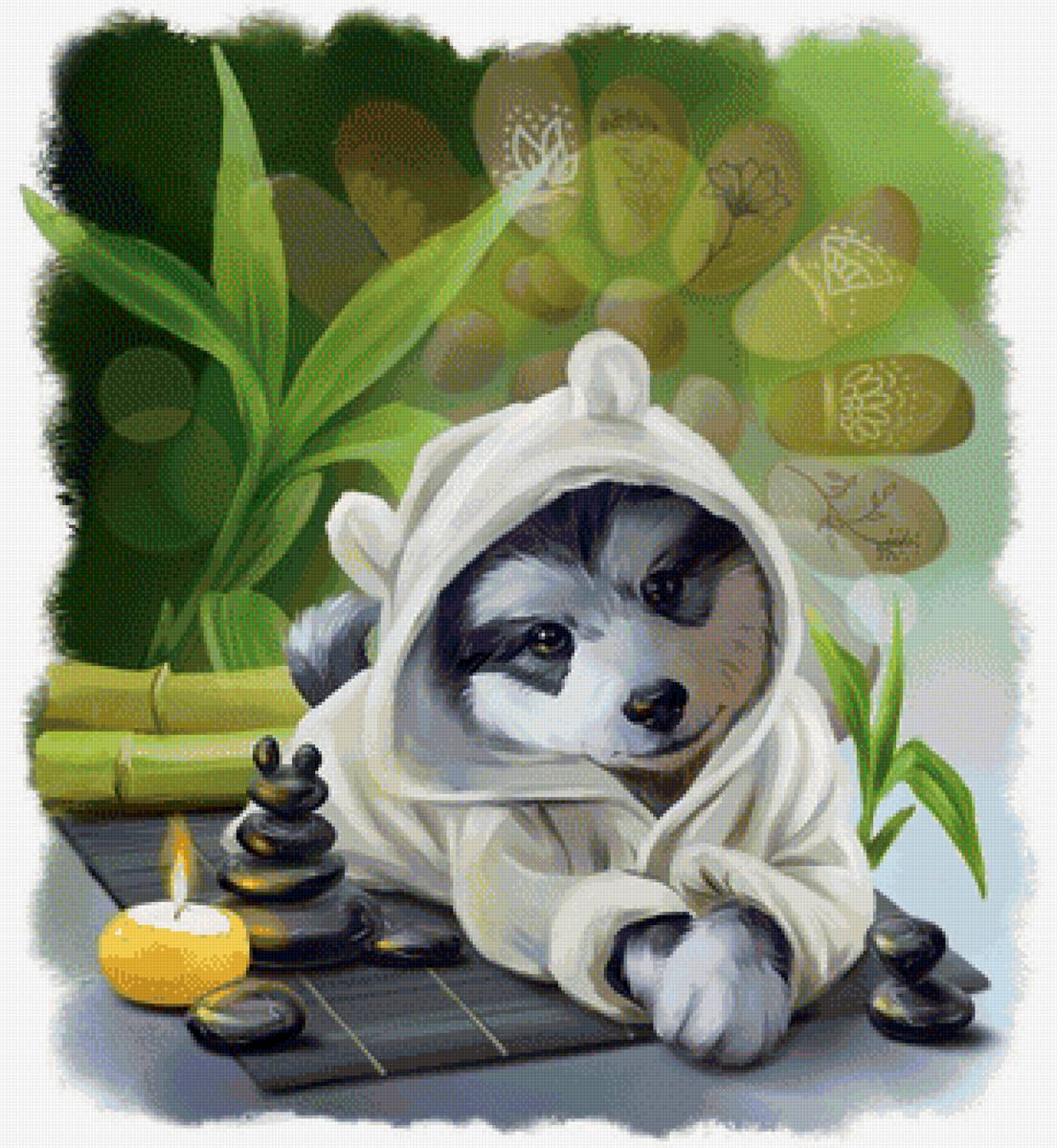 Спа - рисунок, спа, животные, собачка, собака, свеча, камешки - предпросмотр