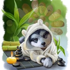 Схема вышивки «Спа»