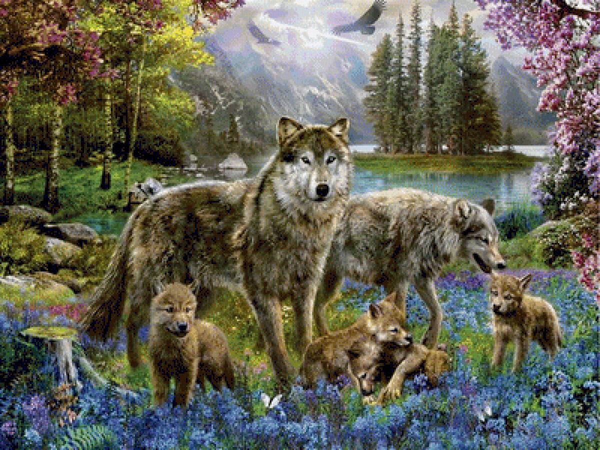 Семейство волков - животные, горы, река, природа, лес, рисунок, волк, волки - предпросмотр