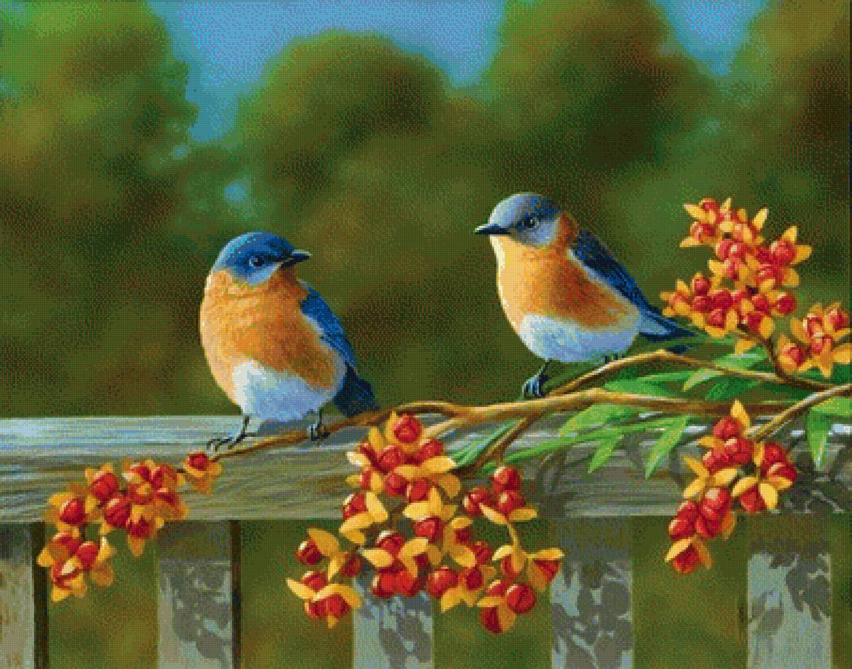 Птички - птички, птицы, рисунок - предпросмотр