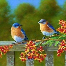 Схема вышивки «Птички»