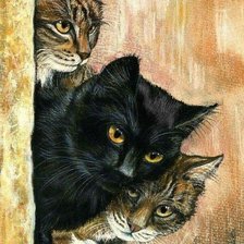 Схема вышивки «Интерес»