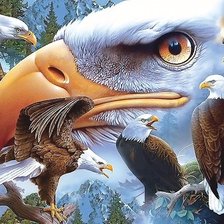 Схема вышивки «птицы»