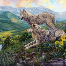 Пара волков