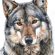 Схема вышивки «№1878422»