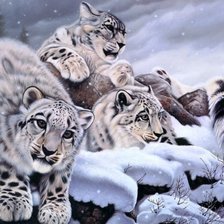 Схема вышивки «Снежные барсы»