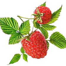 Схема вышивки «№1878730»