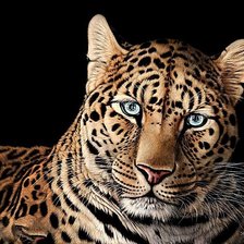 Схема вышивки «№1878740»