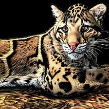 Схема вышивки «№1878746»