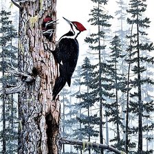 Схема вышивки «№1878760»