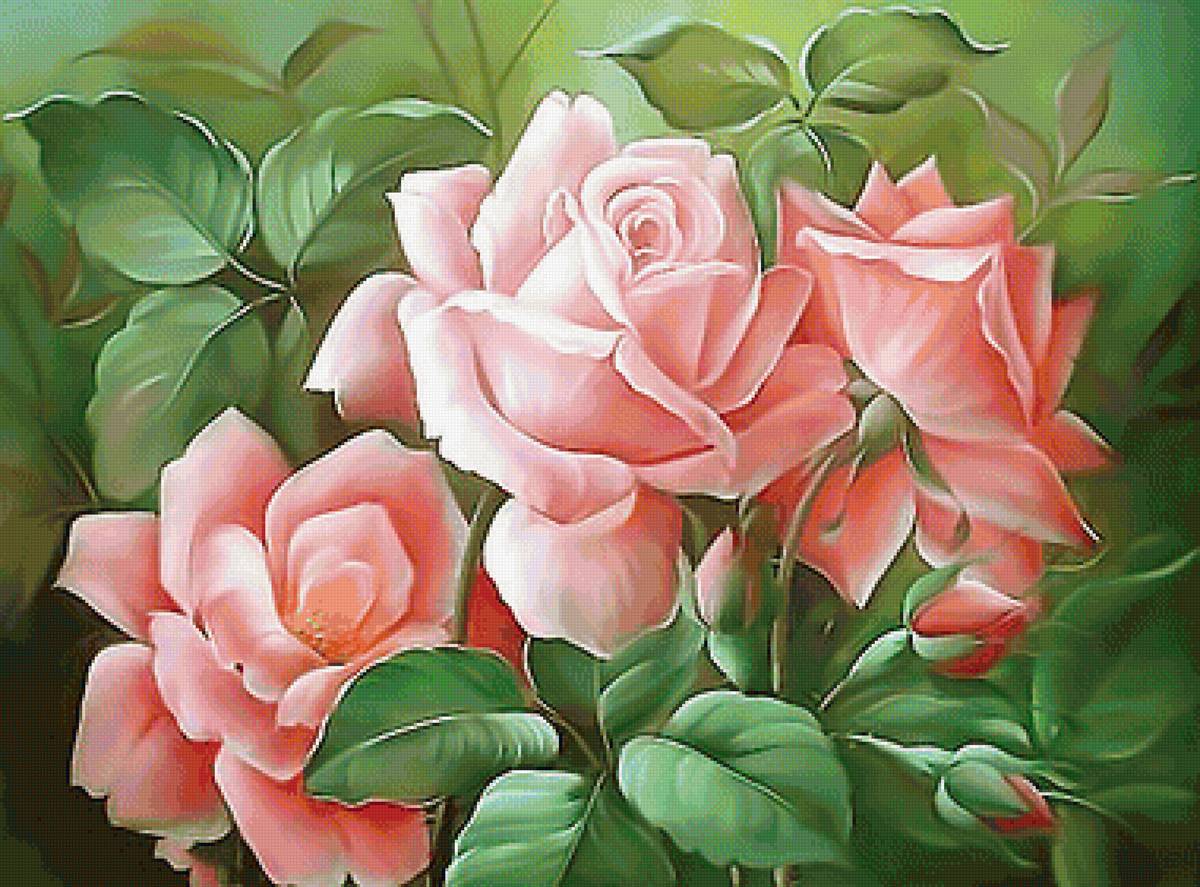 Серия "Розы". - цветы, флора, розы - предпросмотр