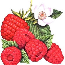 Схема вышивки «№1879018»