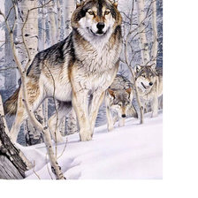 Схема вышивки «Волки»