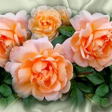 Схема вышивки «Розы»