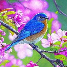 Схема вышивки «Птичка»