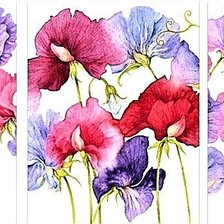 Схема вышивки «TRIPTICO VIVALDI»