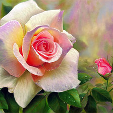 Схема вышивки «Роза»