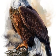 Схема вышивки «Орёл»