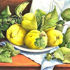 Схема вышивки «№1879816»