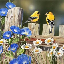 Схема вышивки «Птички»