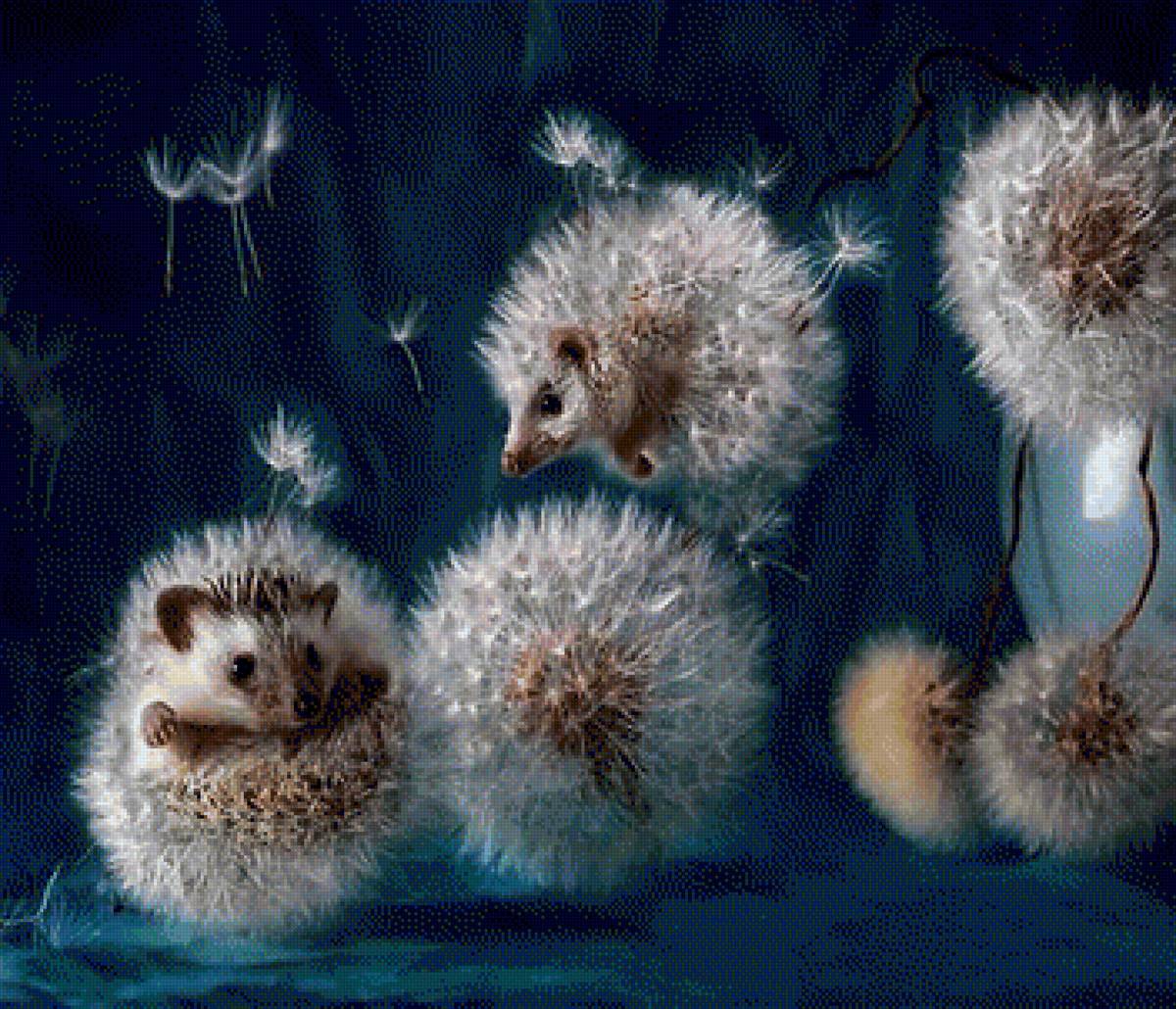 Воздушные ежики - животные, природа - предпросмотр