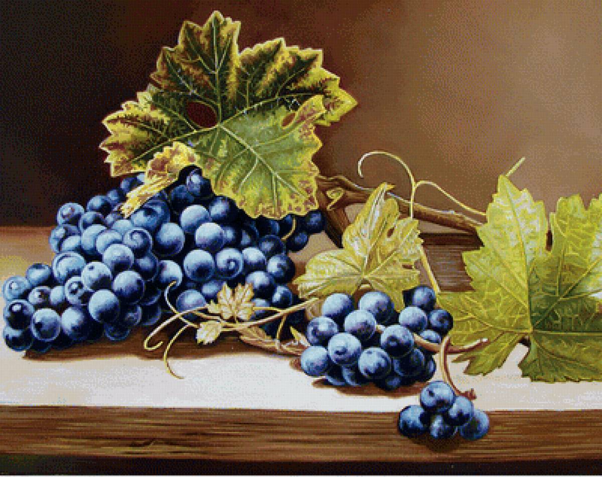 Виноград - фрукты - предпросмотр