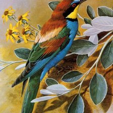 Как же птица хороша!