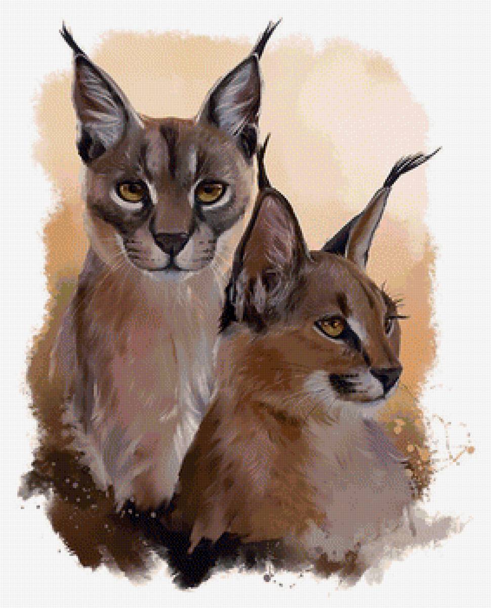 Рыси - рысь, рыси, рисунок, животные - предпросмотр