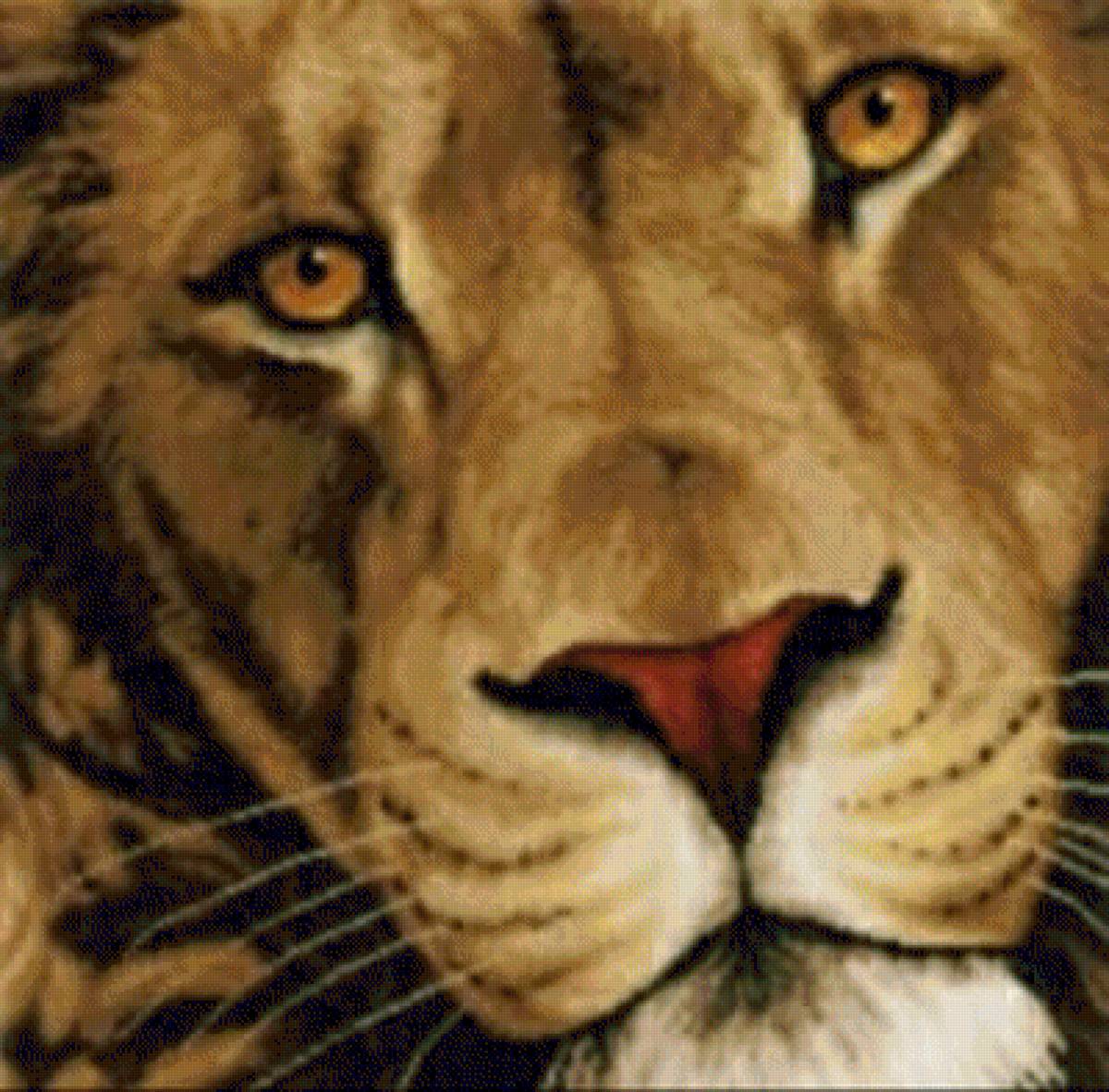 Leone - foresta, animali, leone, re - предпросмотр