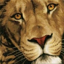 Схема вышивки «Leone»