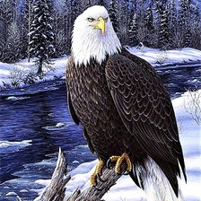 Схема вышивки «№1880645»