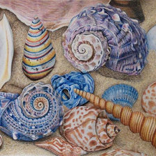 Схема вышивки «Ракушки»