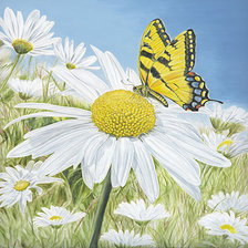 Схема вышивки «Бабочки и ромашки»
