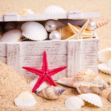 Схема вышивки «Ракушки»