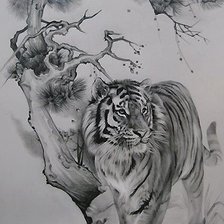 Схема вышивки «Тигр»