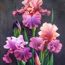 Схема вышивки «Ирисы»