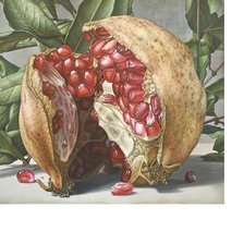 Схема вышивки «Гранат»