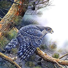 Схема вышивки «№1881186»