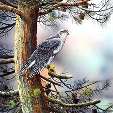 Схема вышивки «№1881188»